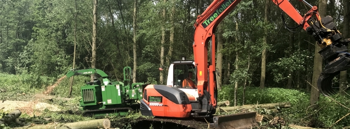 Tree felling and woodland clearances