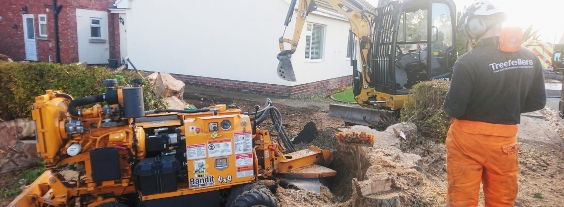 Stump removal - remotely controlled stump grinding machine in operation