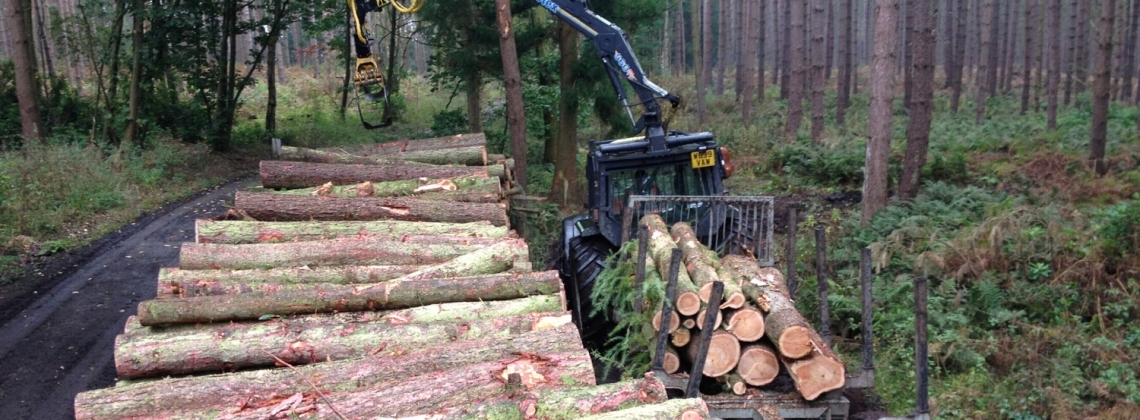 Working with large and small woodland owners
