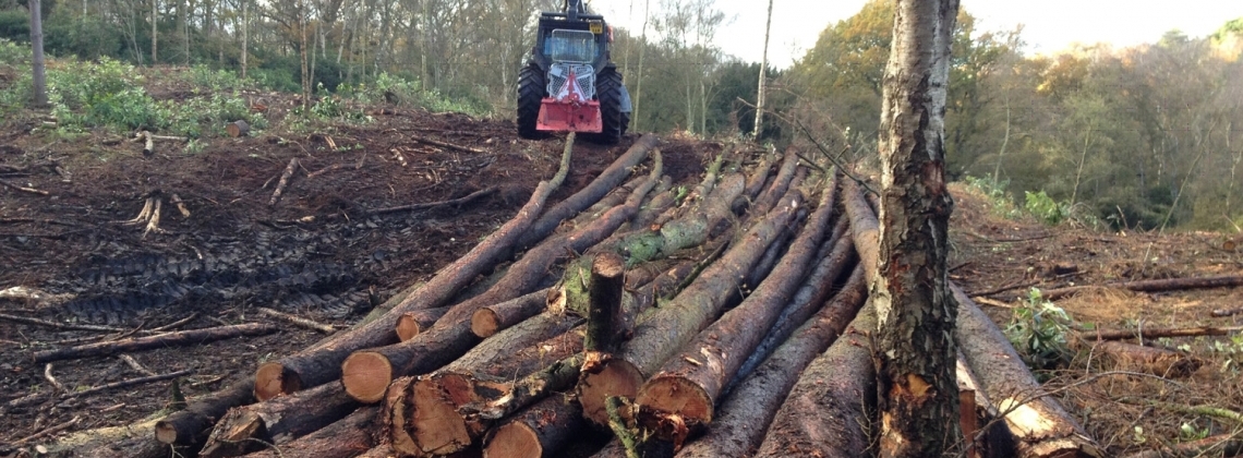 Forestry winching for timber extraction