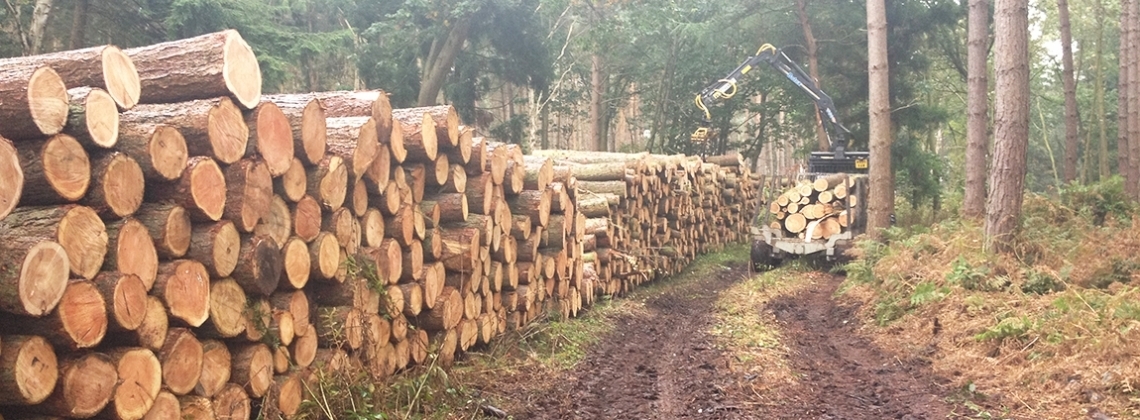 Timber extraction using forestry tractor and timber crane
