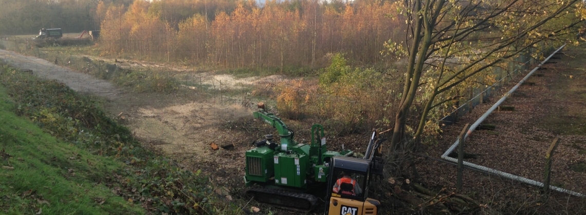 Tree clearance for civil engineering utility project- start