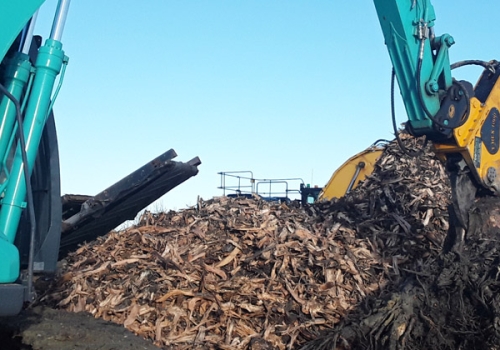 Mechanical Stump Excavation and Processing