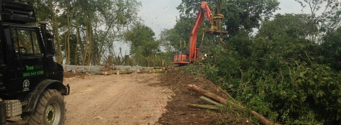 Mechanical tree clearance using excavator and tree shears for major ground stabilisation project